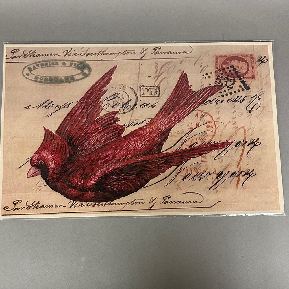 Vintage Set of 12 Cardinal Image Paper Placemats NWT